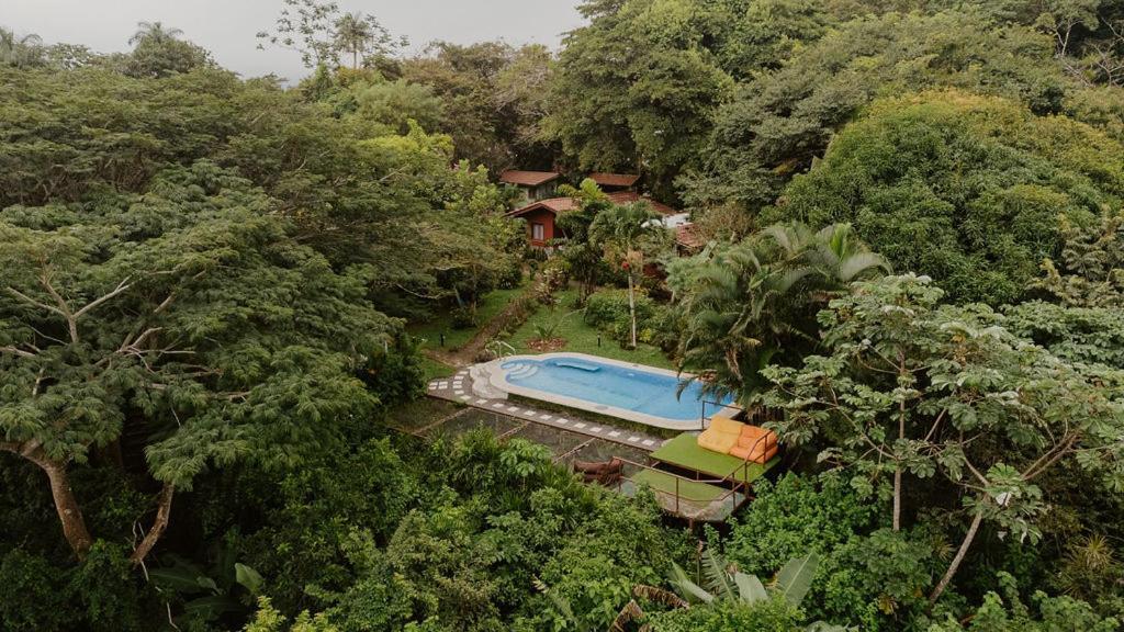 Lodge Mirador - Great Swimming Pool - Kitchen - Bbq - Netflix Tajo Alto Exteriér fotografie
