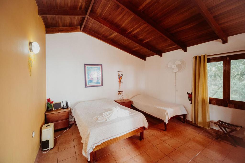 Lodge Mirador - Great Swimming Pool - Kitchen - Bbq - Netflix Tajo Alto Exteriér fotografie