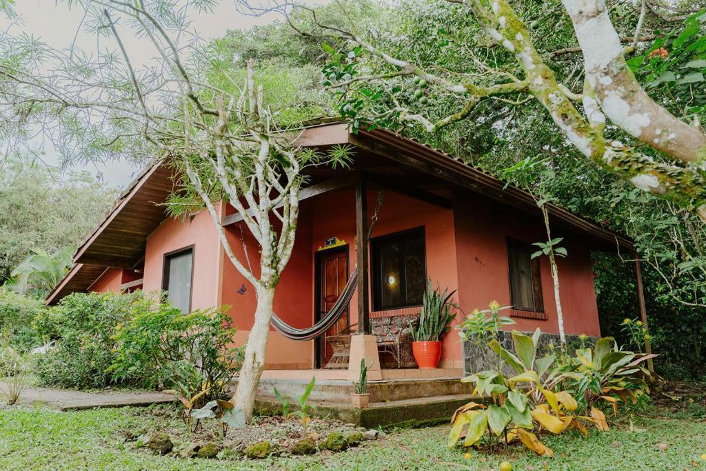 Lodge Mirador - Great Swimming Pool - Kitchen - Bbq - Netflix Tajo Alto Exteriér fotografie