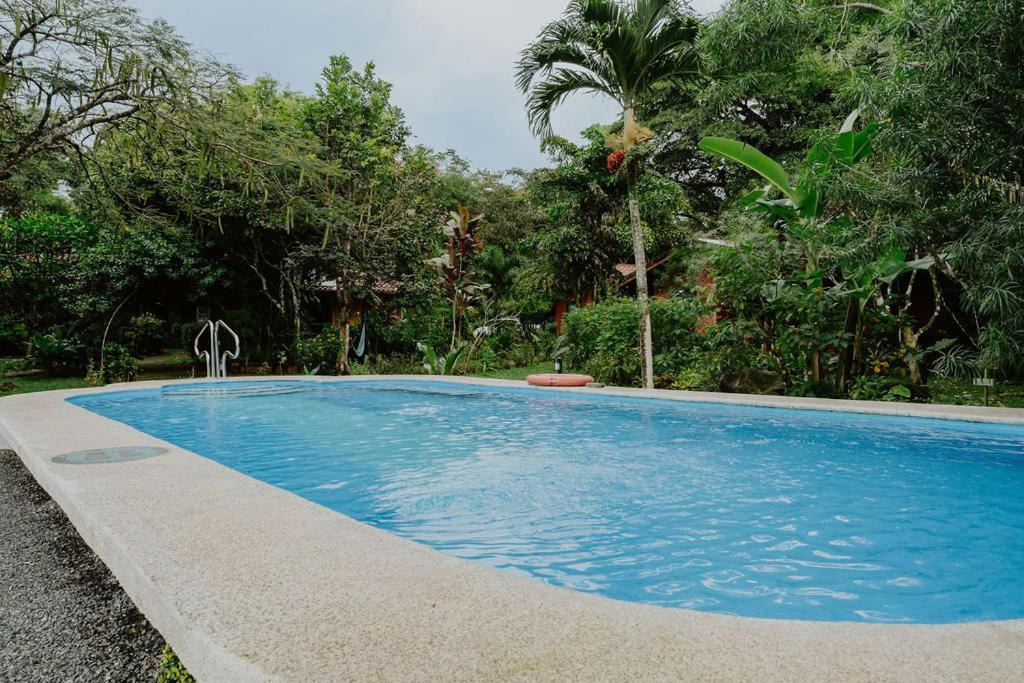 Lodge Mirador - Great Swimming Pool - Kitchen - Bbq - Netflix Tajo Alto Exteriér fotografie