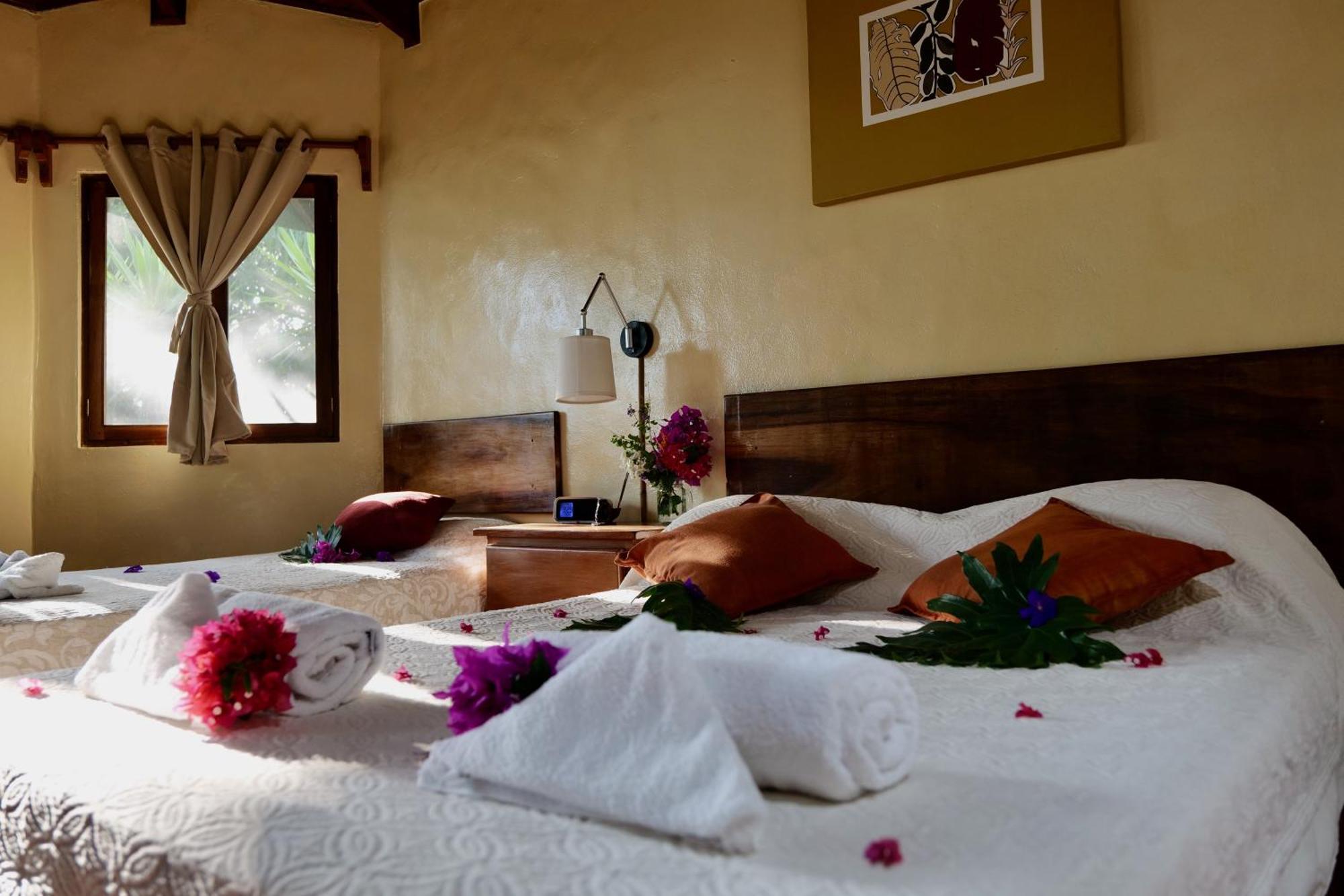 Lodge Mirador - Great Swimming Pool - Kitchen - Bbq - Netflix Tajo Alto Exteriér fotografie